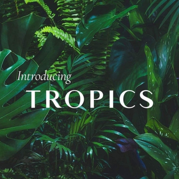 TROPIC SKINCARE 💚 RINSE AND RETREAT Sensitive Skin Body Wash 250ml. - Picture 4 of 13